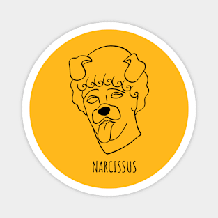 Narcissus Magnet